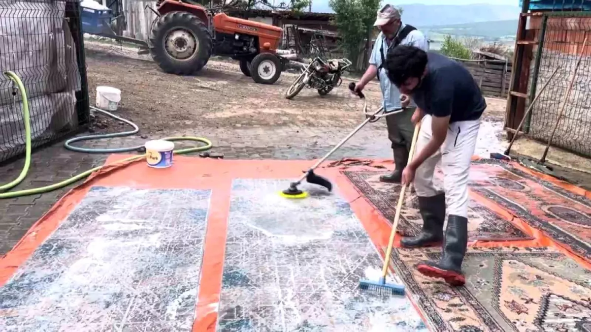 Çiftçiden Yenilikçi Halı Yıkama Yöntemi