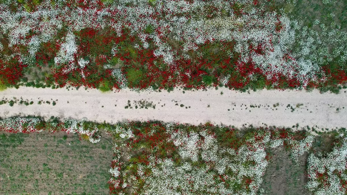 Kastamonu Doğası Renkleniyor