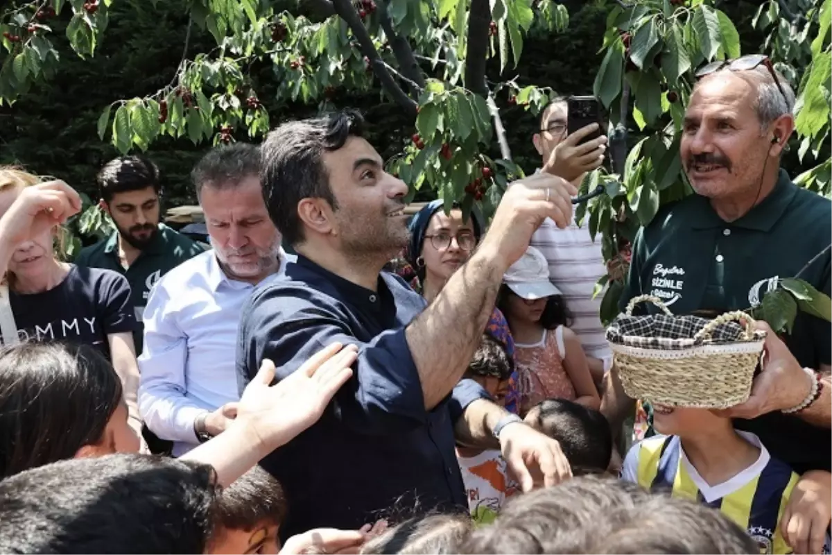Bağcılar'da 13. Kiraz Festivali Coşkusu