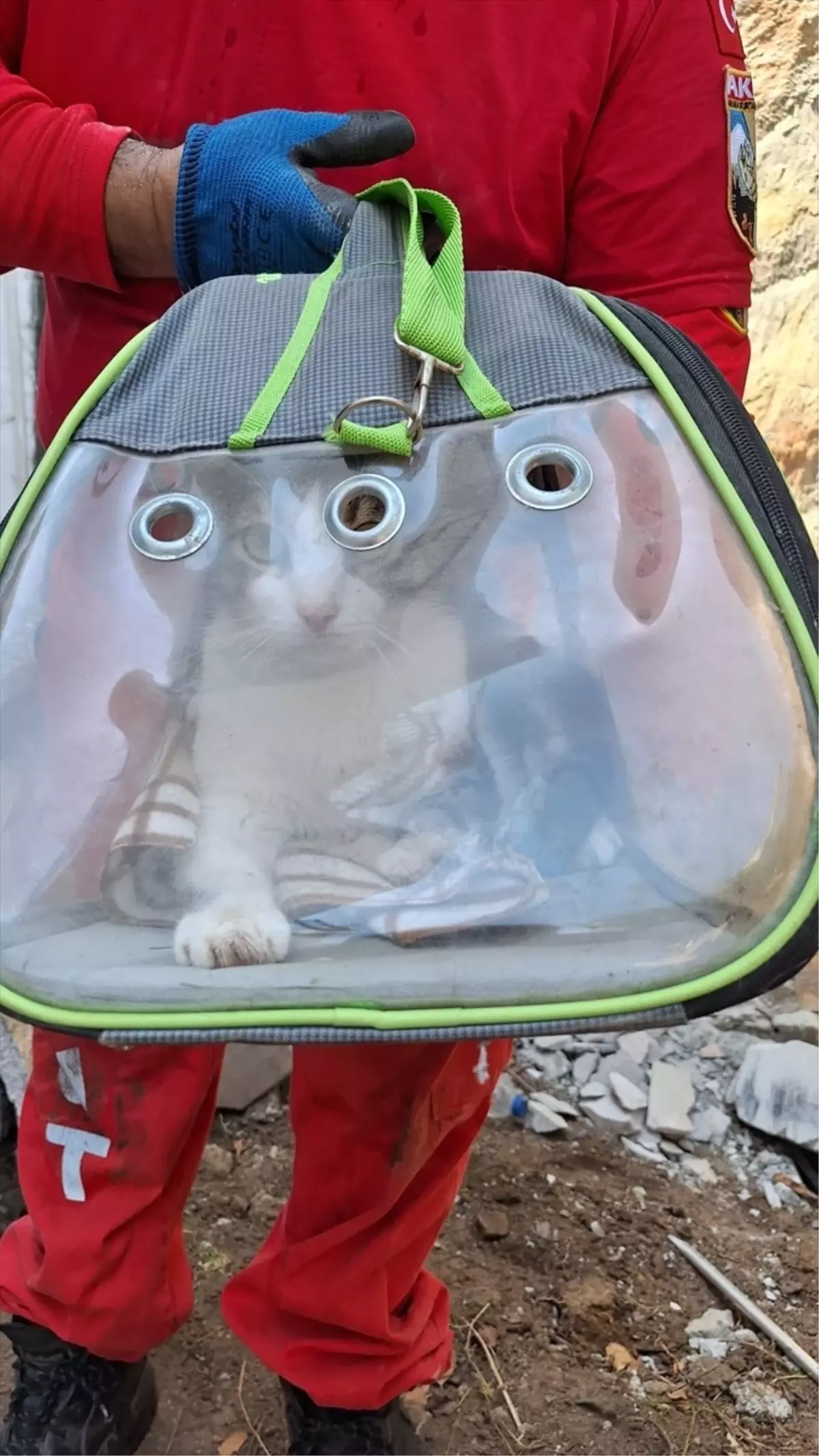 Duvar Boşluğundaki Kedi Kurtarıldı