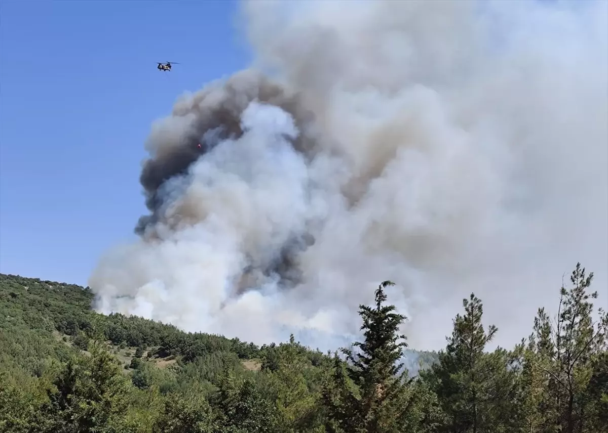 Balıkesir'deki orman yangınlarına ilişkin soruşturmada 5 gözaltı