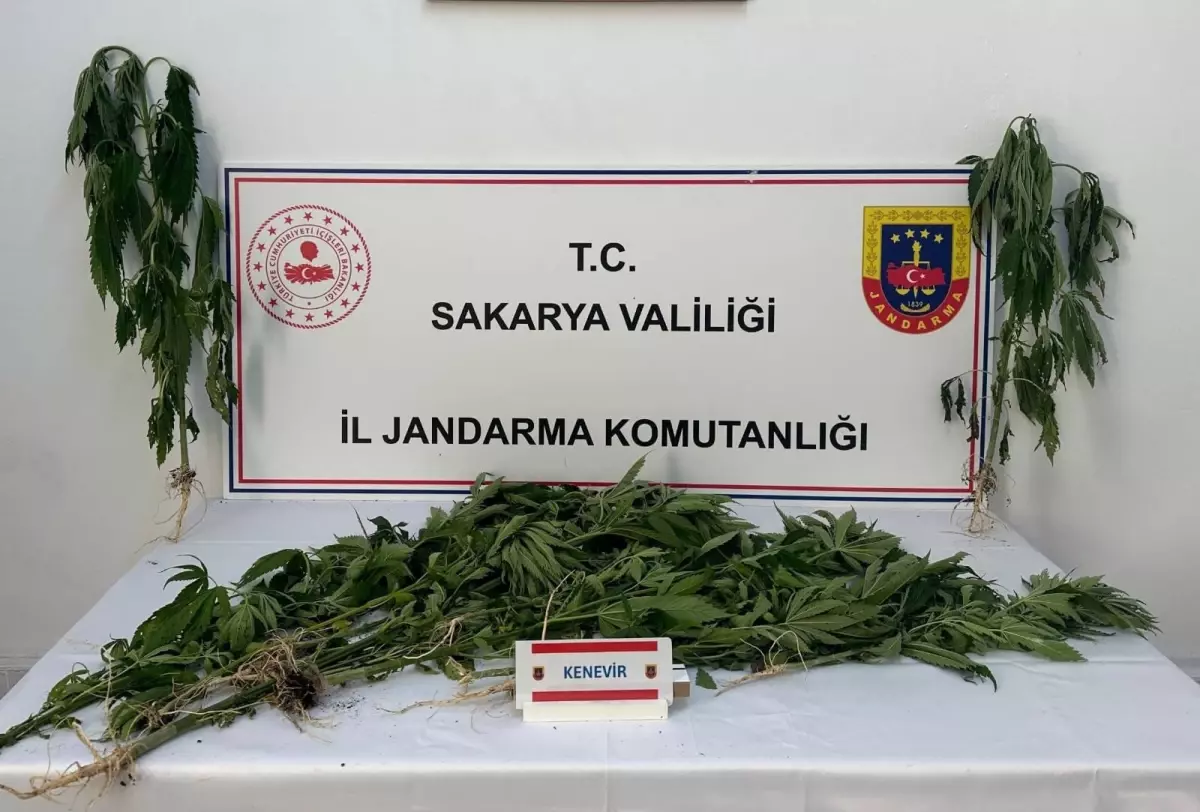 Sakarya'da Uyuşturucu Operasyonu: 3 Tutuklandı