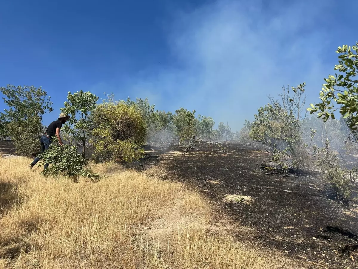 Şırnak'ta Yangın Kontrol Altına Alındı