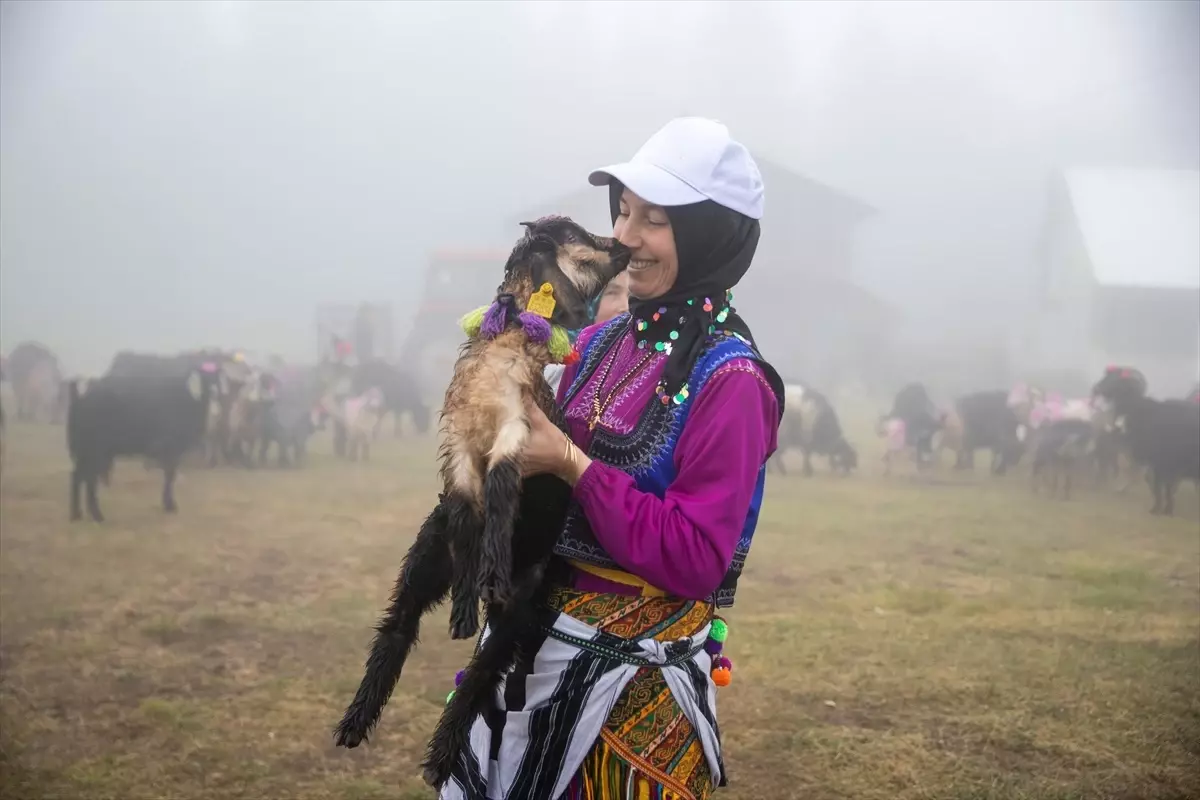 Hendek'te Renkli Yayla Göçü