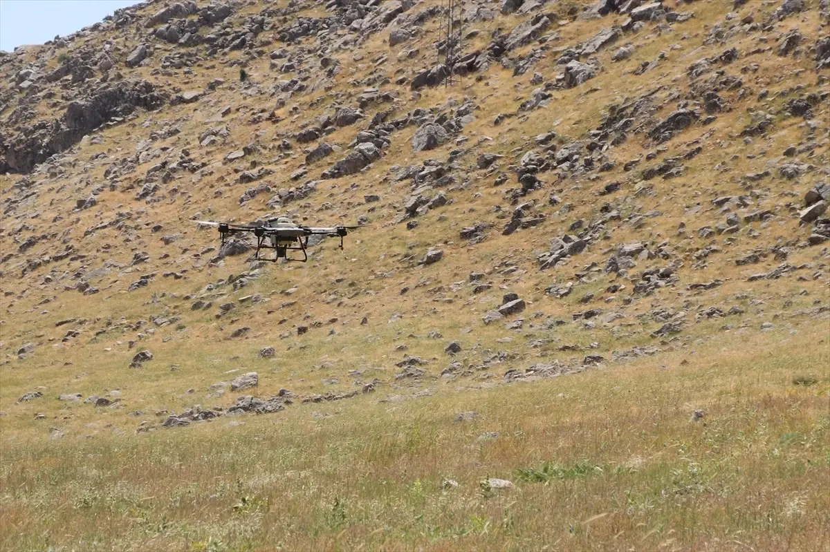 Pervari'de Çekirge İstilasına Dronla Mücadele