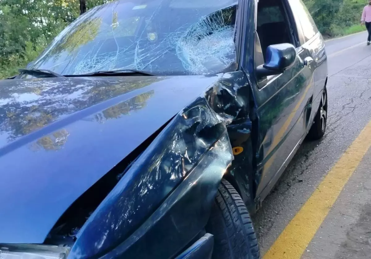 Hendek'te Motosiklet Kazası: Sürücü Hayatını Kaybetti
