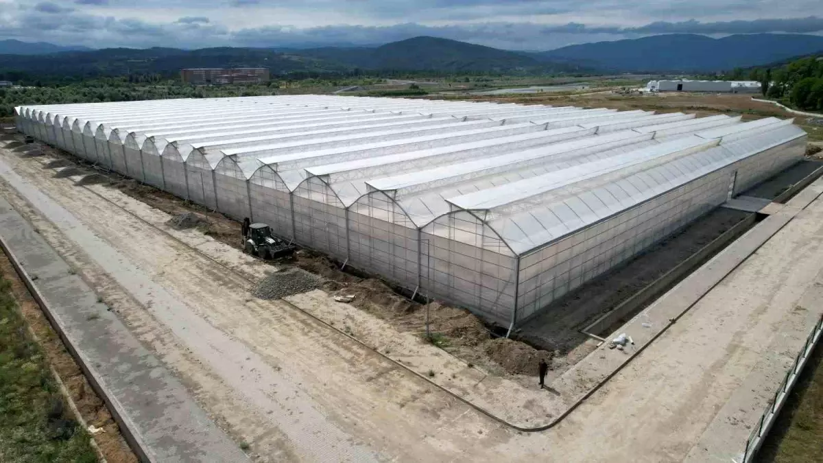 Zonguldak'ta Sera Tarım Bölgesi Faaliyete Geçti