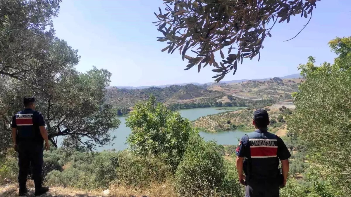 Aydın'da Orman Yangınlarına Karşı Önlemler Artıyor