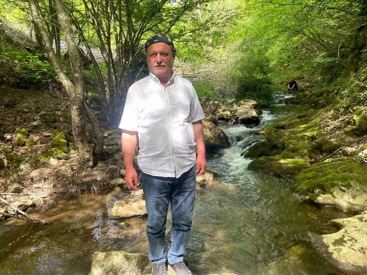 İznik'teki Sansarak Kanyonu Yazın Gözde Mekan