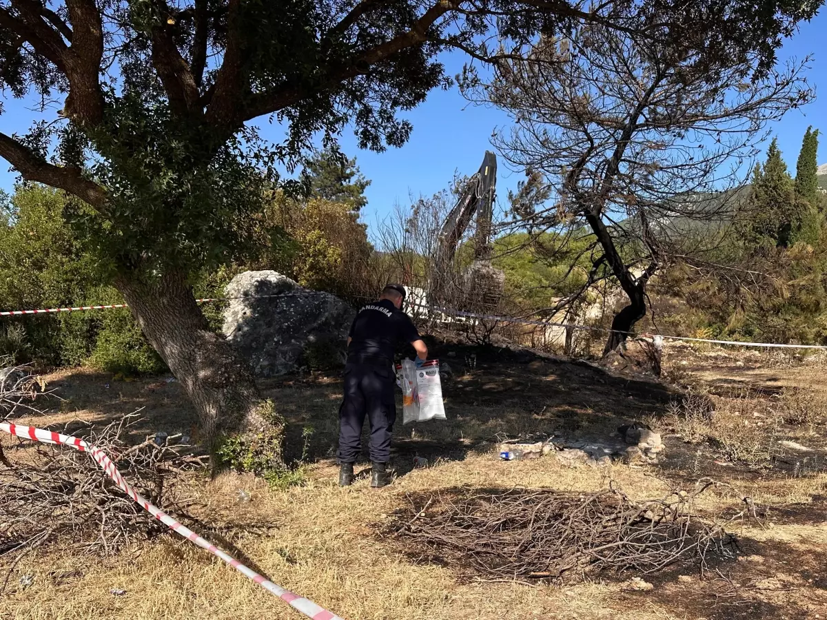 Soma'da Orman Yangını: Piknikteki Semaver Nedeniyle Çıktı