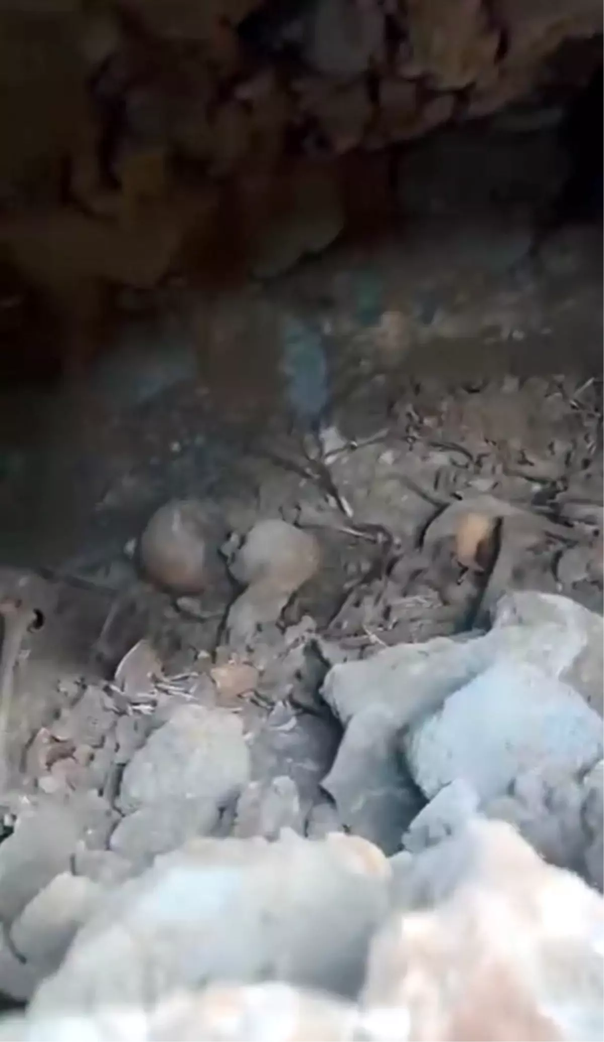 Kahramanmaraş'ta 1500 Yıllık Roma Mezarı Bulundu