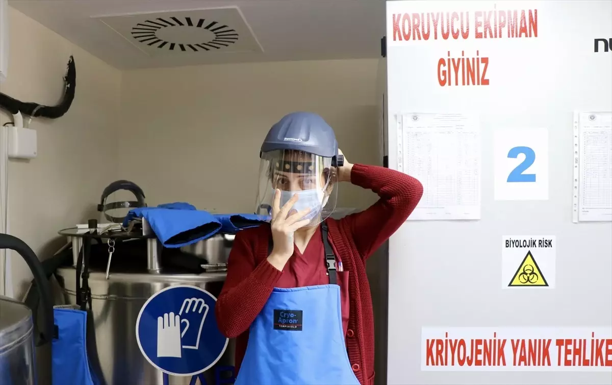 KOÜ Kemik İliği Nakil Merkezi 208 Hastaya Şifa Oldu