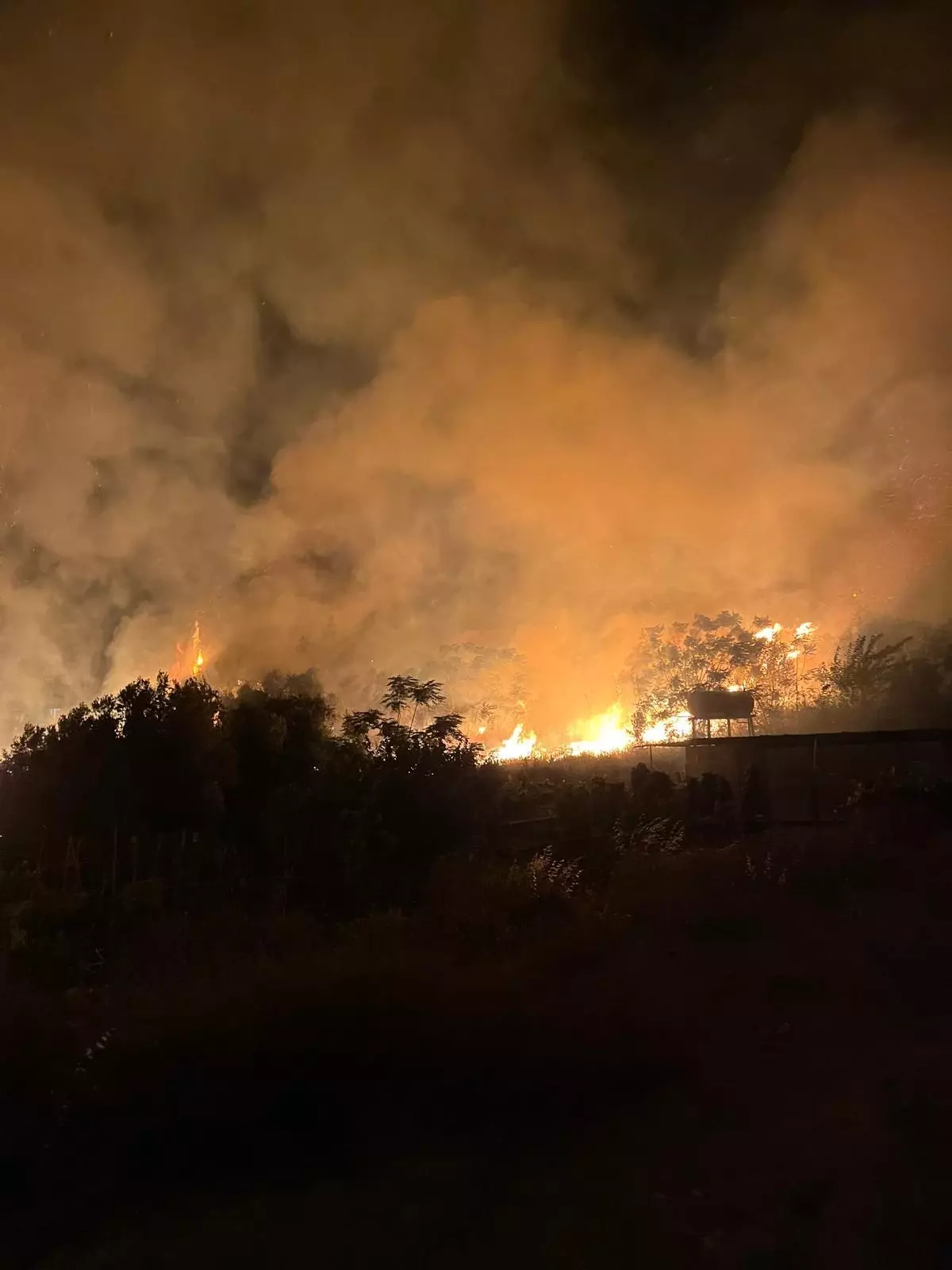 Samandağ'da Ağaçlık Alanda Yangın