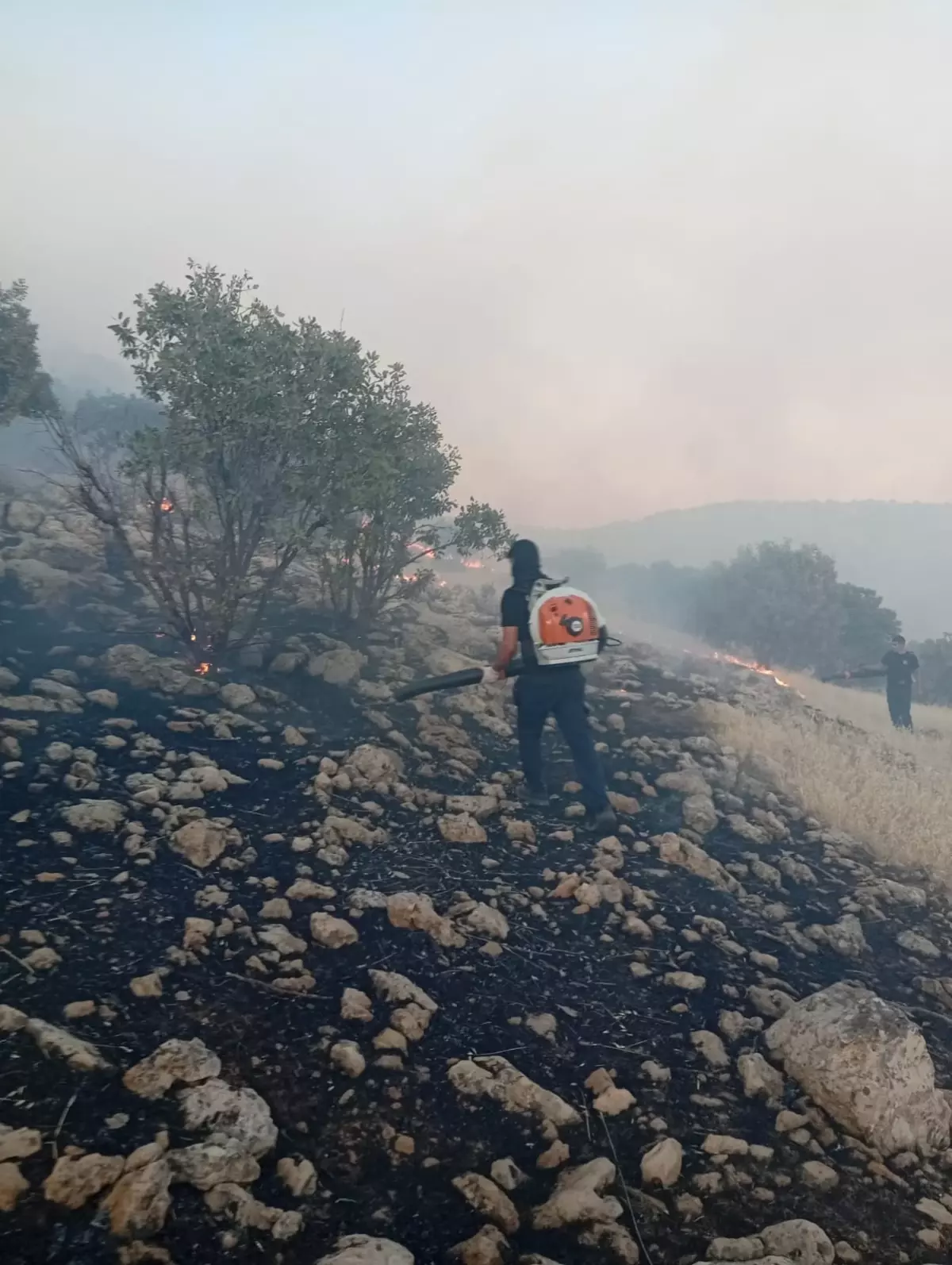 Mardin'de Kırsal Yangın Kontrol Altına Alındı
