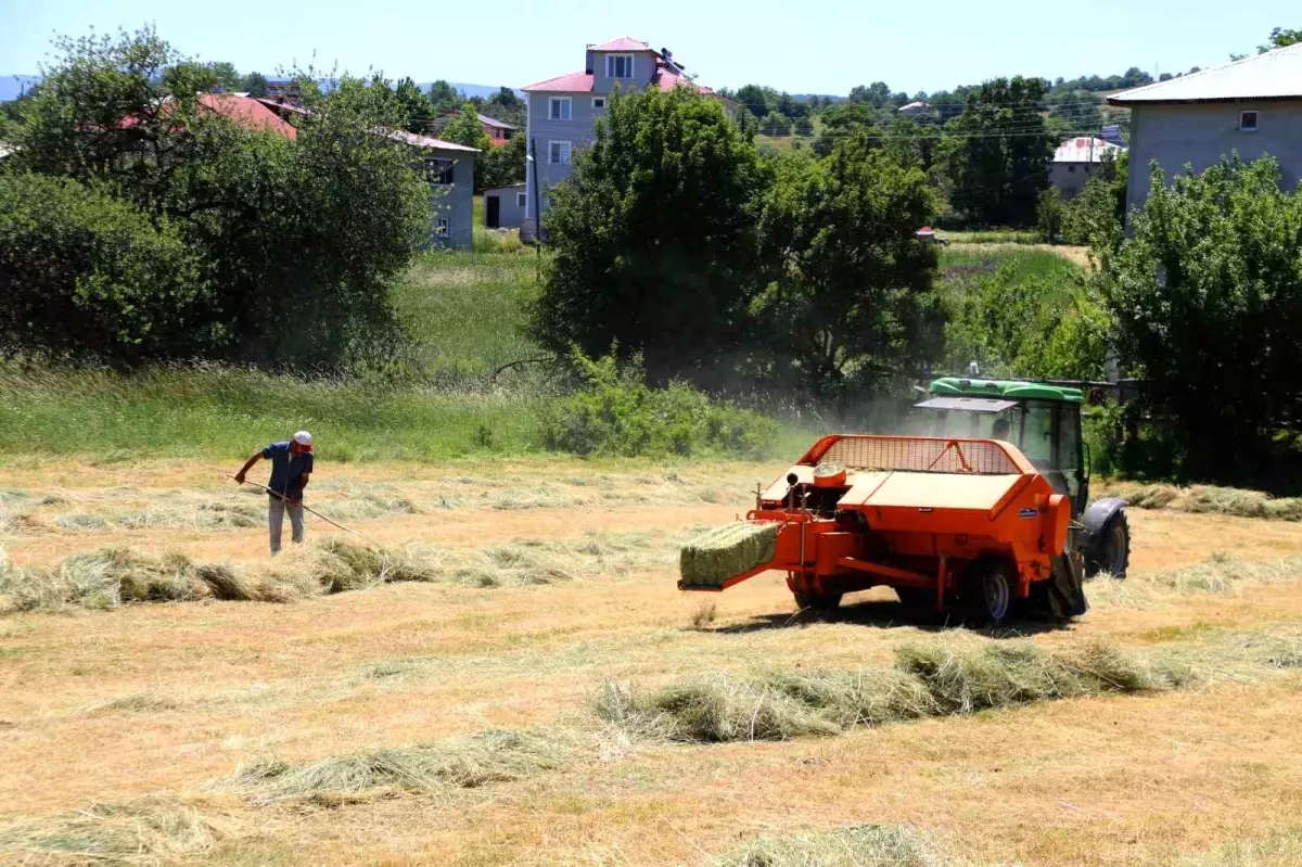 Ordu Büyükşehir Belediyesi'nin Tarım Makineleri Üreticilere Kolaylık Sağlıyor