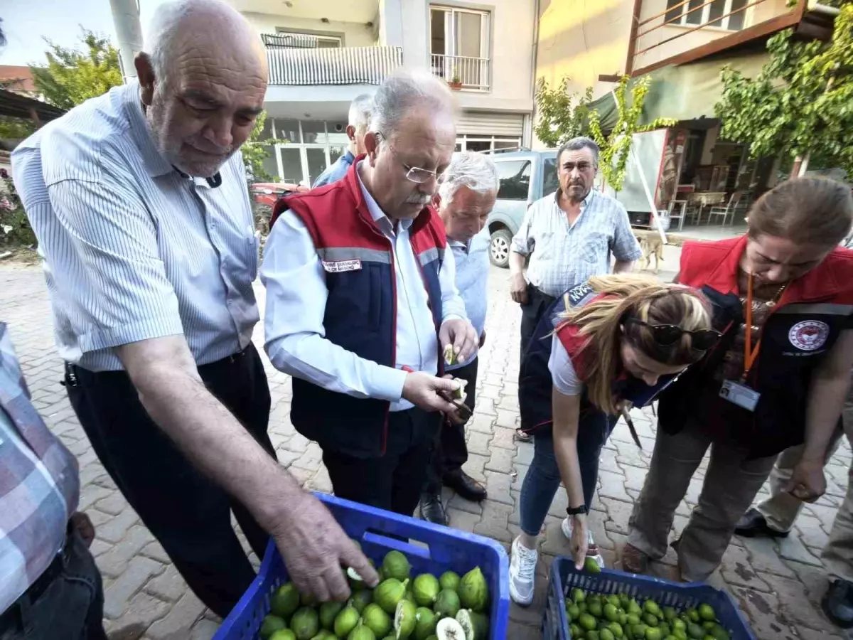 İncir Üreticilerine Bilgilendirme Denetimi