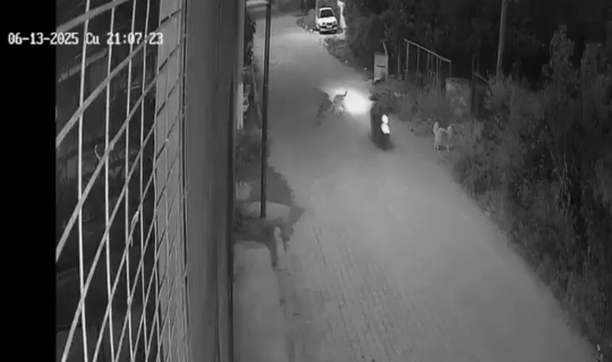 Kaza Sonrası Hayatını Kaybetti
