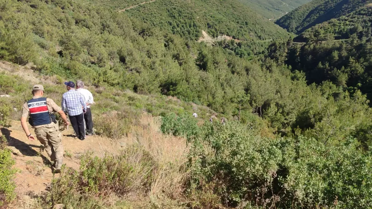Hatay'da Kaza: Sürücü Hayatını Kaybetti