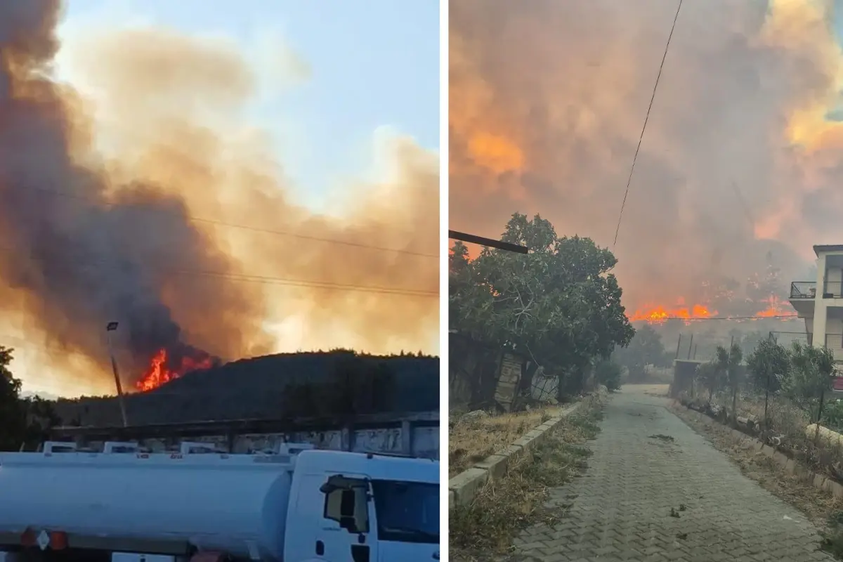 İzmir'de yine orman yangını: Bir kişi gözaltına alındı