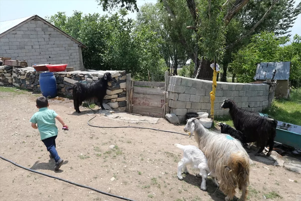 30 Yıl Sonra Evlat Hasreti Bitti
