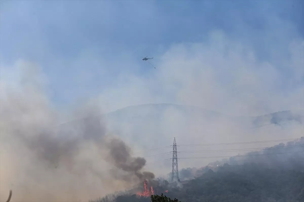Bursa'da Orman Yangını Kontrol Altına Alındı
