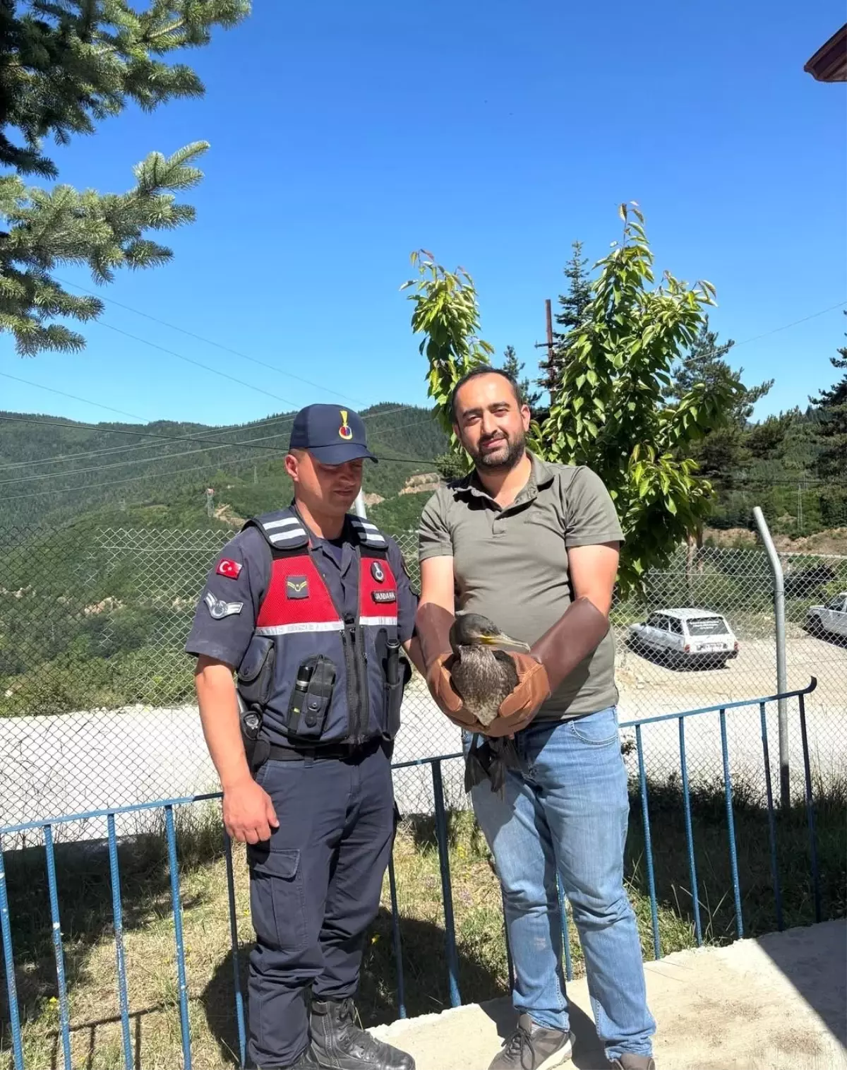 Yaralı Karabatak ve Karga Doğal Yaşam Alanlarına Salındı