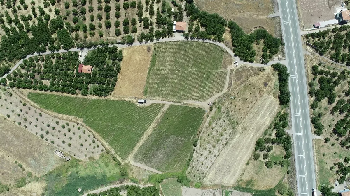 Kale'de Çilek Üretimi Artıyor