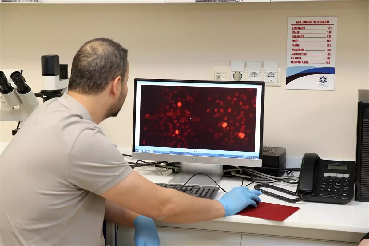 Alzheimer'a Erken Teşhis Projesi