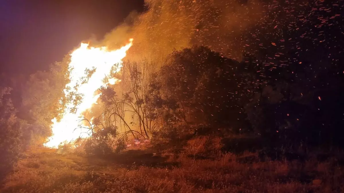 Bozdoğan'daki Yangına Müdahale Devam Ediyor