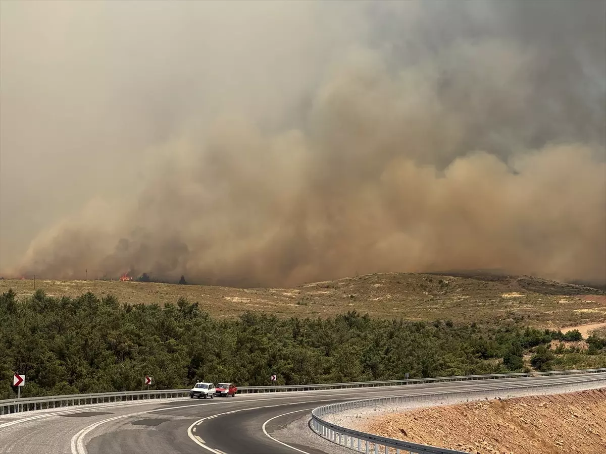 Manisa'da Orman Yangını Kontrol Altına Alınmaya Çalışıyor