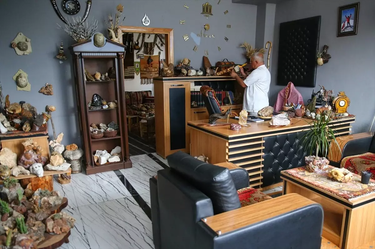 Doğa Tutkunu Durer, Taş Koleksiyonu Oluşturdu