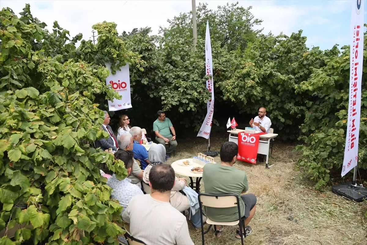 Hamsi Atıkları Fındık Gübresine Dönüşüyor