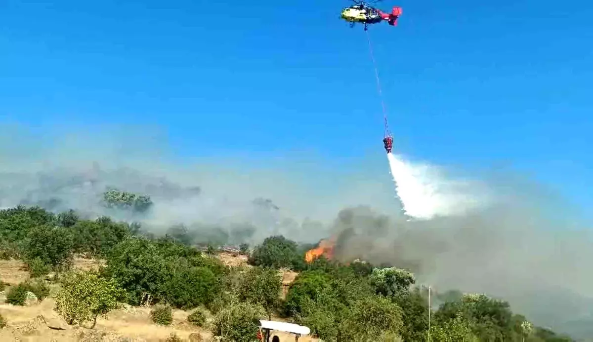 Aydın'da Makilik Alanda Yangın Kontrol Altına Alındı