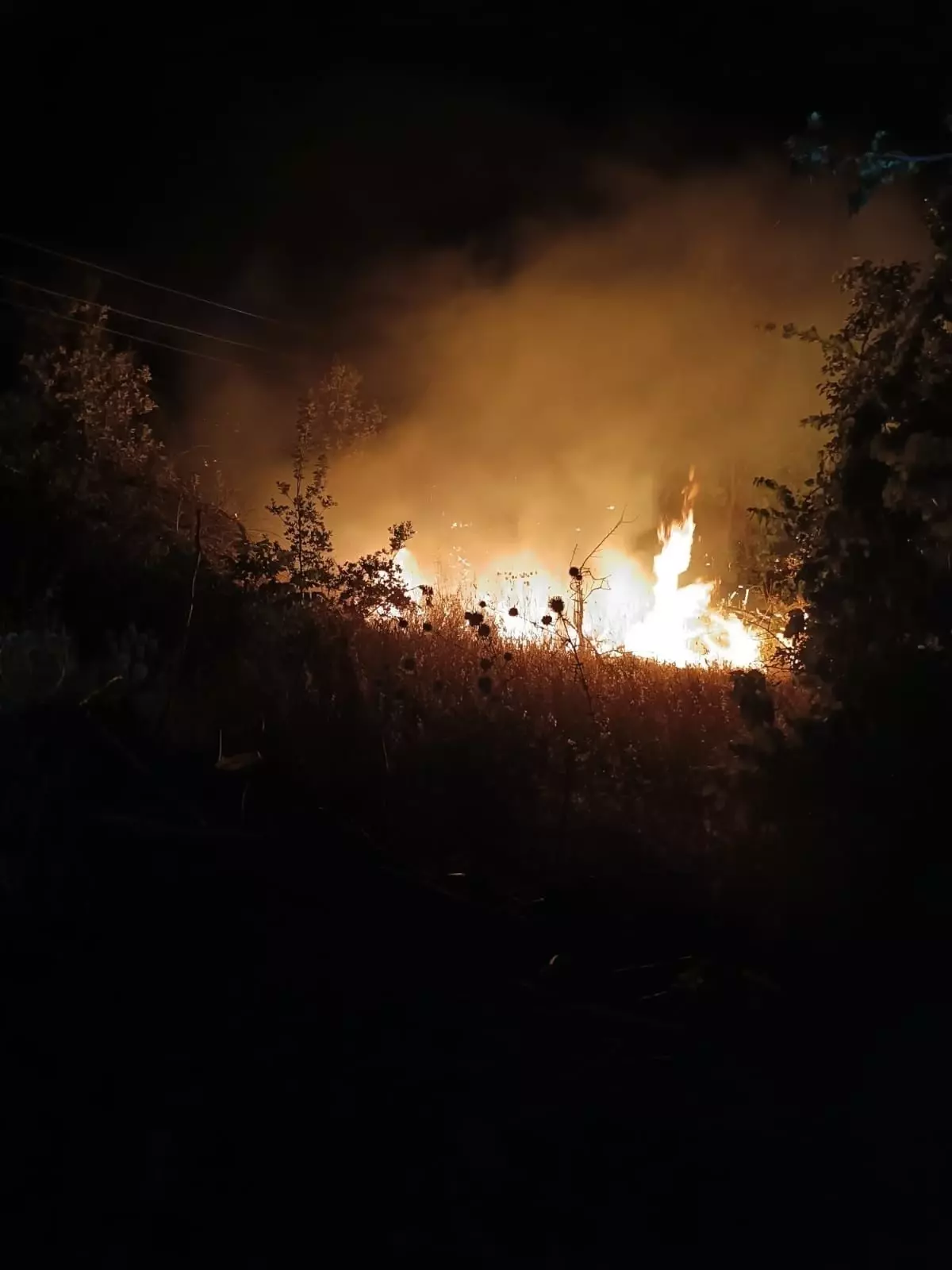 Mersin'de Orman Yangınıyla Mücadele