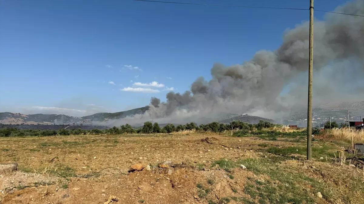 Tire'de Yangın Kontrol Altına Alındı