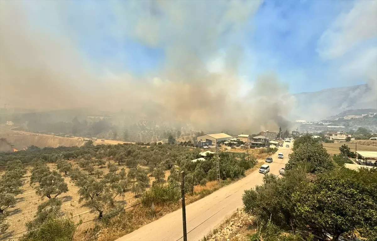 Hatay'da Orman Yangınına Müdahale