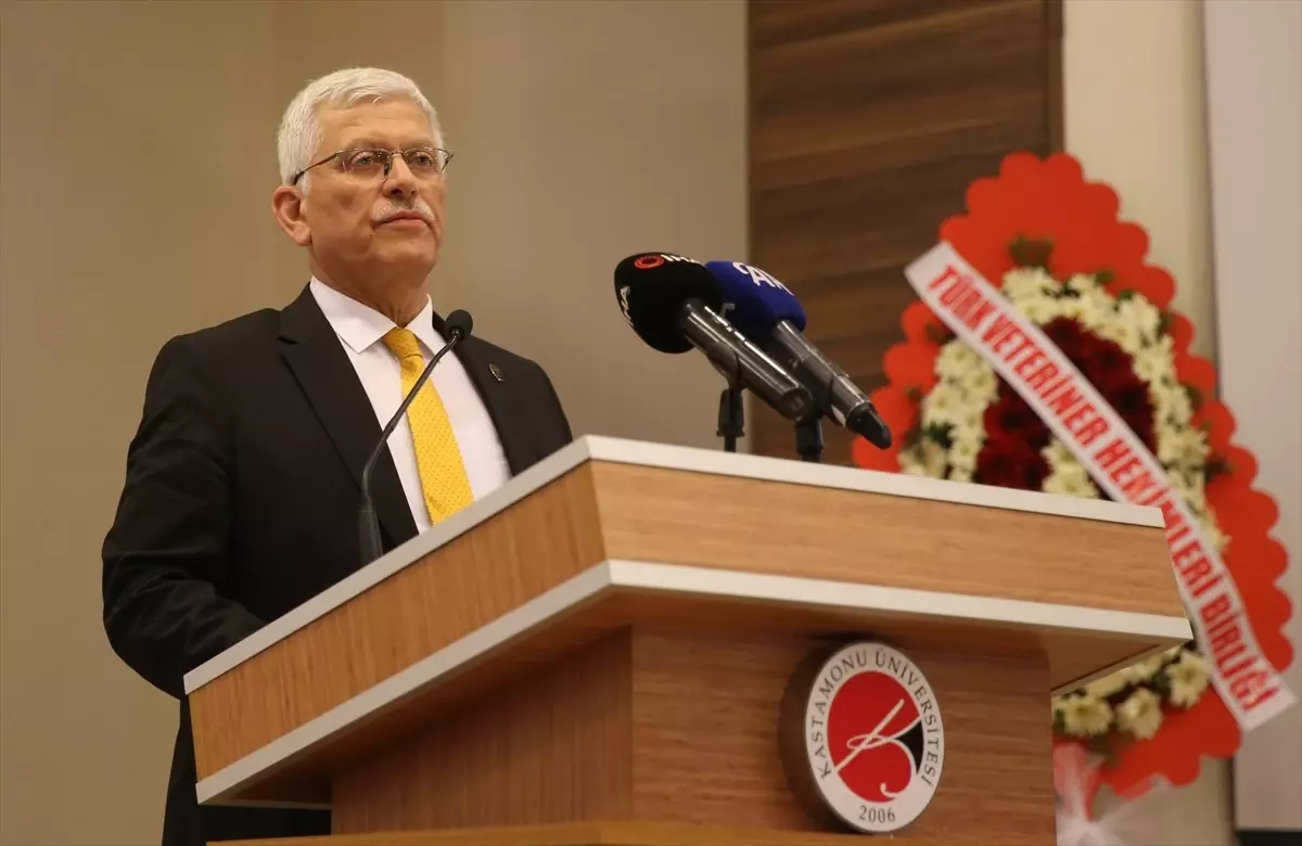 Veteriner Hekimlerden Yangın Bölgesi Desteği