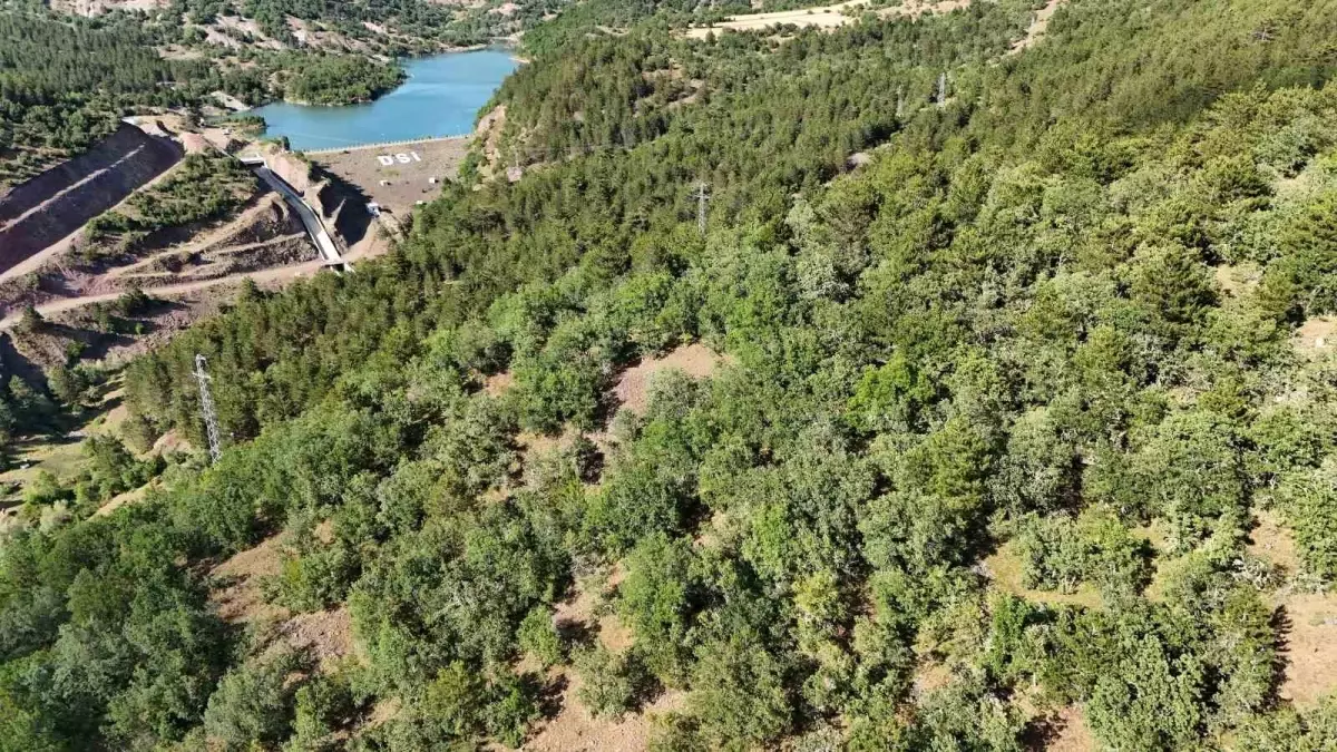 Kastamonu'da Kayıp Hayvan İçin Dronla Arama