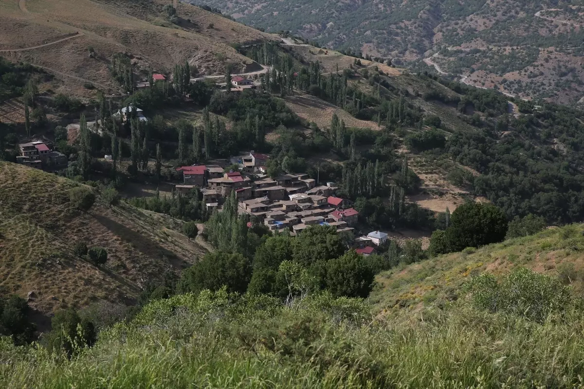 Hizan'daki Taş Evler Turizme Katkı Sağlıyor