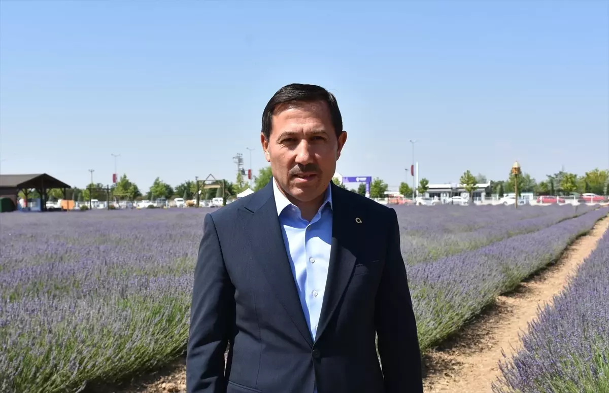 Karatay Lavanta Bahçesi Ziyaretçilerini Bekliyor