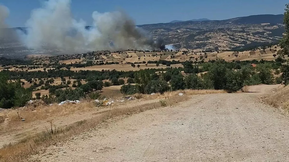 Gediz'de Yangın Kısmen Kontrol Altına Alındı
