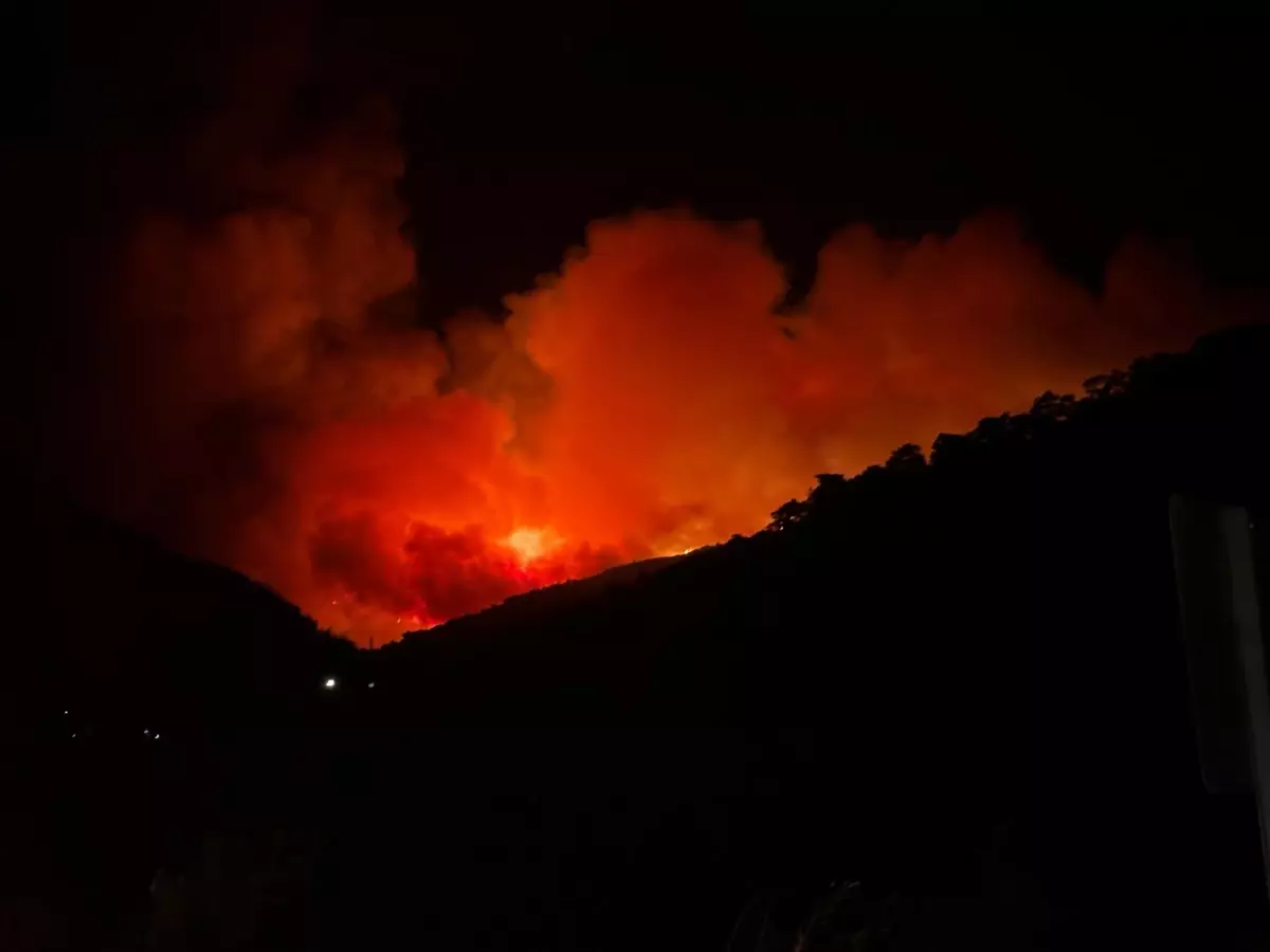 Ödemiş'te Orman Yangını