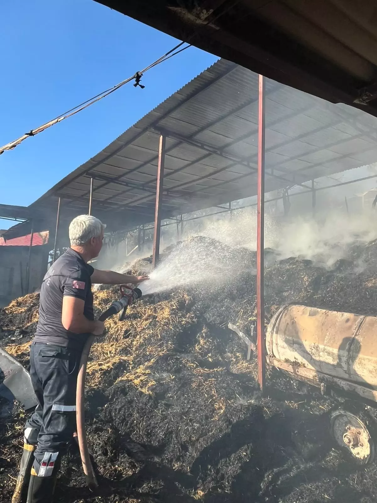 Kozan'da Ahır Yangını: 5 İnek Hayatını Kaybetti
