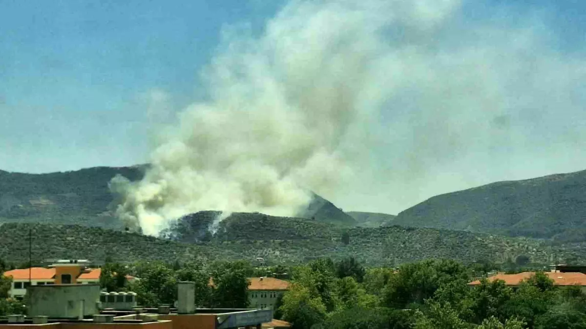 Selçuk'ta Yangın Paniği