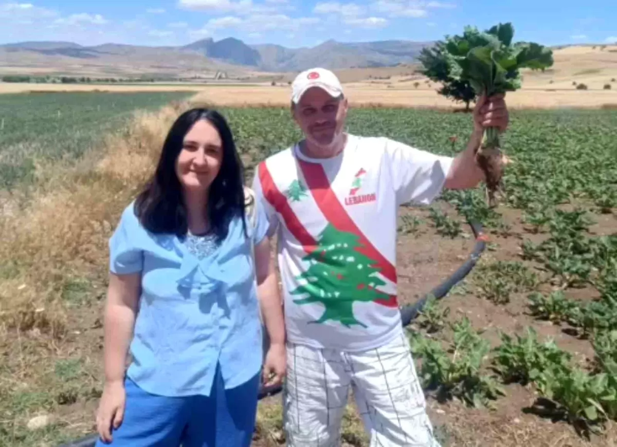 Bulgar Turistlerin Şeker Pancarı Keyfi