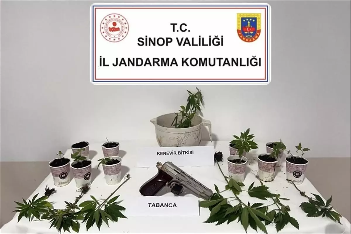 Sinop'ta Uyuşturucu Operasyonu