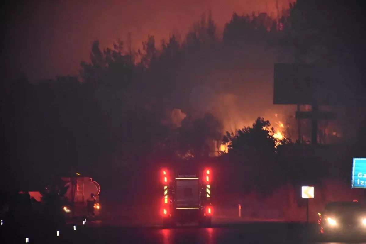 İzmir'de Orman Yangını, Otoyol Kapandı