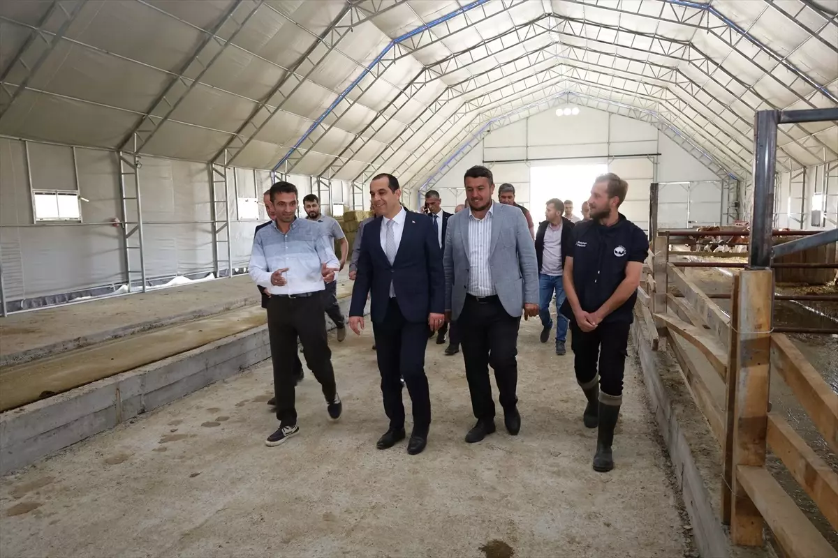 Çankırı'da Yerel Eylem Grubu Projesi İncelemesi