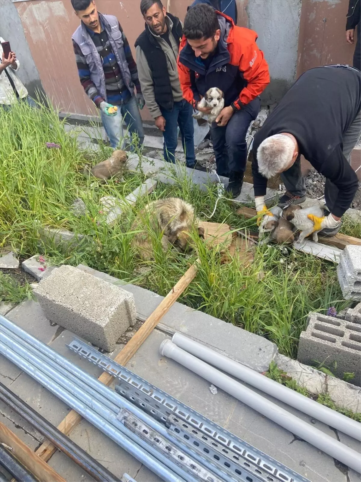 Kars'ta Bacaya Düşen 4 Yavru Köpek Kurtarıldı