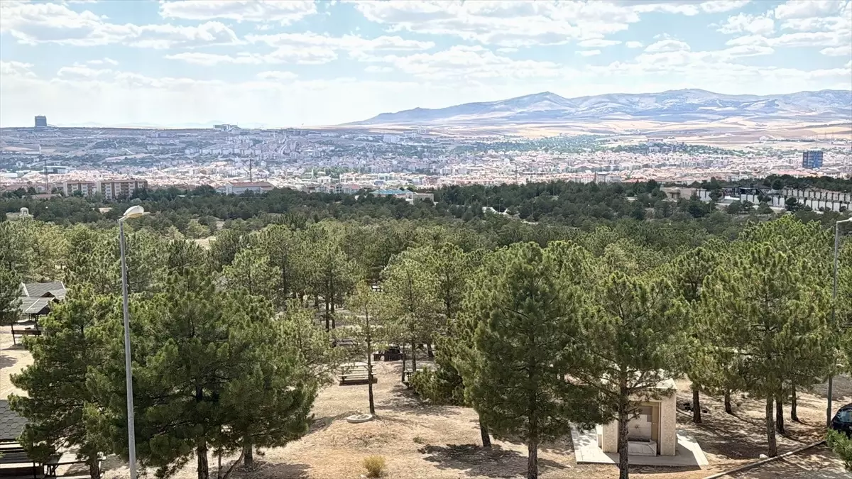 Kırşehir'de Dronla Orman Denetimi